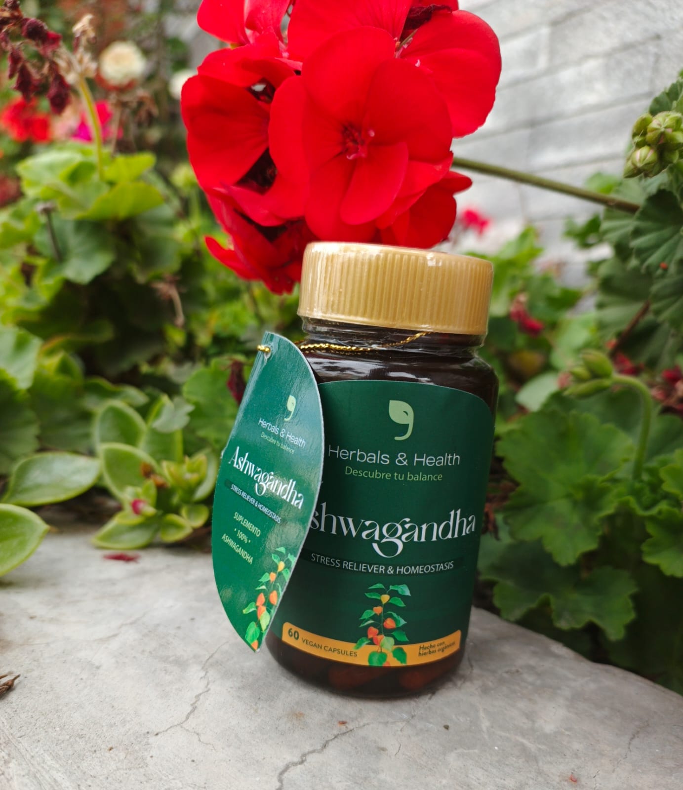 Ashwagandha – Energía Vital y Equilibrio Natural