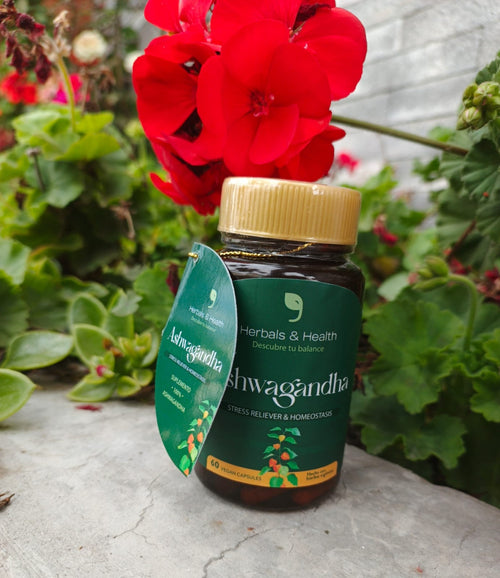 Ashwagandha – Energía Vital y Equilibrio Natural