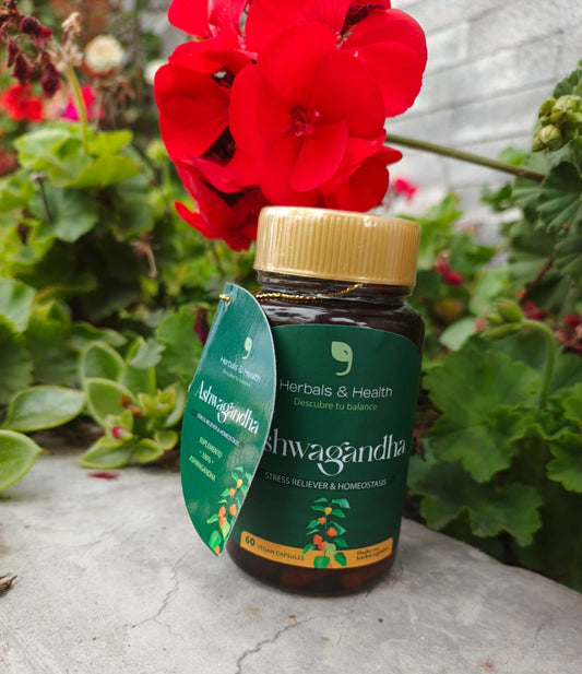 Ashwagandha – Energía Vital y Equilibrio Natural