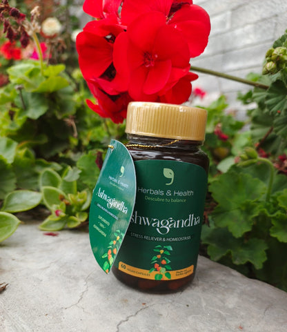 Ashwagandha – Energía Vital y Equilibrio Natural